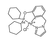 2-(pyrazol-1-ylmethyl)-6-(dicyclohexylphosphinoxy)phenylchloropalladium(II) Structure