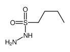 butane-1-sulfonohydrazide结构式
