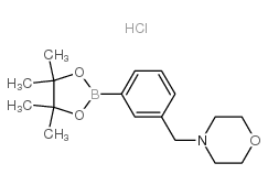 3-(4-MORPHOLINOMETHYL)-PHENYLBORONIC ACID PINACOL ESTER HYDROCHLORIDE structure
