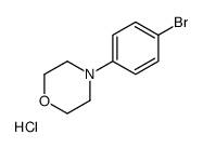 4-(4-BROMOPHENYL)MORPHOLINE HYDROCHLORIDE picture