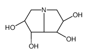 1,2,6,7-tetrahydroxypyrrolizidine structure