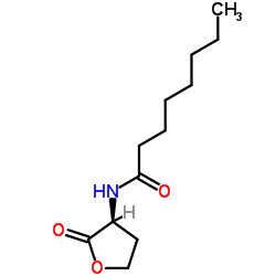 N-Octanoyl-L-homoserine lactone图片