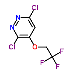 3,6-Dichloro-4-(2,2,2-trifluoroethoxy)pyridazine Structure