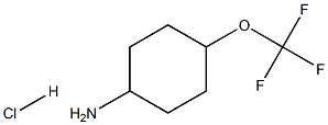 4-三氟甲氧基环己胺盐酸盐结构式