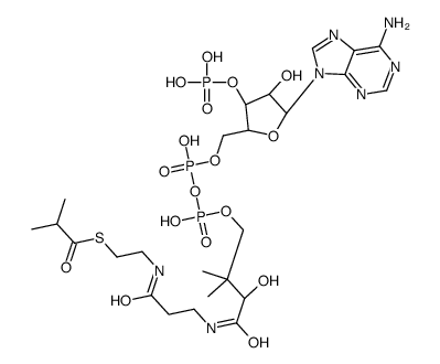 S-[2-[3-[[(2R)-4-[[[(2R,3S,4R,5R)-5-(6-aminopurin-9-yl)-4-hydroxy-3-phosphonooxyoxolan-2-yl]methoxy-hydroxyphosphoryl]oxy-hydroxyphosphoryl]oxy-2-hydroxy-3,3-dimethylbutanoyl]amino]propanoylamino]ethyl] 2-methylpropanethioate结构式