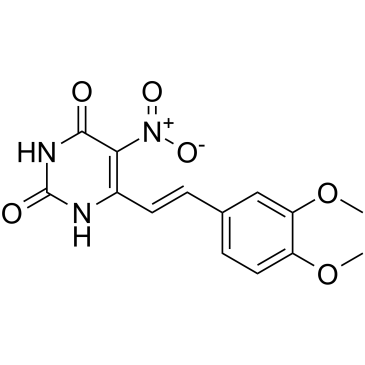 S.pombe lumazine synthase-IN-1 Structure