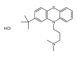 3-(2-tert-butylphenothiazin-10-yl)-N,N-dimethylpropan-1-amine,hydrochloride结构式