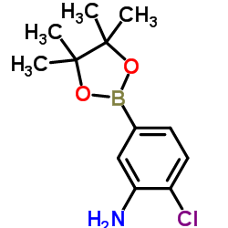 3-氨基-4-氯苯基硼酸频哪醇酯结构式