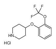 4-[2-(Trifluoromethoxy)phenoxy]piperidine hydrochloride结构式