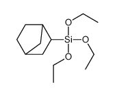 3-bicyclo[2.2.1]heptanyl(triethoxy)silane Structure