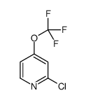 2-chloro-4-(trifluoromethoxy)pyridine结构式