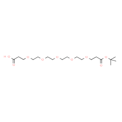 Acid-PEG5-C2-Boc structure