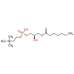 1-庚酰基-2-羟基-sn-甘油-3-磷酸胆碱图片