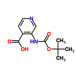 3-[(tert-Butoxycarbonyl)amino]isonicotinic acid picture