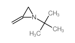 2-methylidene-1-tert-butyl-aziridine结构式