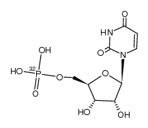 [5'-(32)p]ump Structure