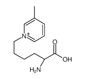 (2S)-2-amino-6-(3-methylpyridin-1-ium-1-yl)hexanoic acid Structure