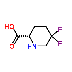 (2S)-5,5-difluoro-2-piperidinecarboxylic acid structure