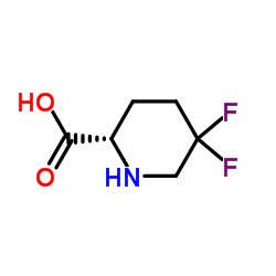 (2S)-5,5-difluoro-2-piperidinecarboxylic acid Structure