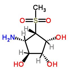 1,2,3-Cyclopentanetriol, 4-amino-5-(methylsulfonyl)-, [1R-(1alpha,2alpha,3ba,4alpha,5alpha)]- (9CI)结构式