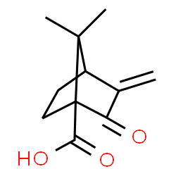 Bicyclo[2.2.1]heptane-1-carboxylic acid, 7,7-dimethyl-3-methylene-2-oxo- (9CI)结构式
