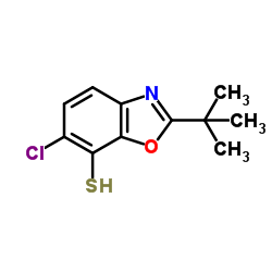 2-(Tert-Butyl)-6-Chlorobenzo[D]Oxazole-7-Thiol picture