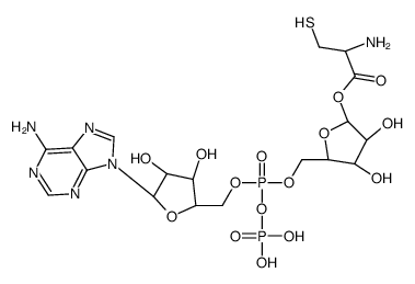 [(3R,4S,5R)-5-[[[(2R,3S,4R,5R)-5-(6-aminopurin-9-yl)-3,4-dihydroxyoxolan-2-yl]methoxy-phosphonooxyphosphoryl]oxymethyl]-3,4-dihydroxyoxolan-2-yl] (2R)-2-amino-3-sulfanylpropanoate Structure