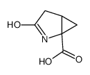 2,3-methanopyroglutamic acid picture