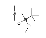 tert-butyl-dimethoxy-(trimethylsilylmethyl)silane Structure