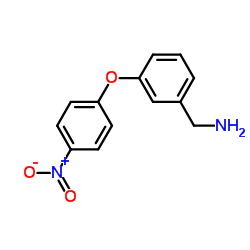 1-[3-(4-Nitrophenoxy)phenyl]methanamine structure