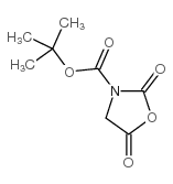 tert-butyl 2,5-dioxo-1,3-oxazolidine-3-carboxylate Structure