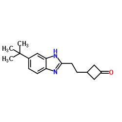3-{2-[6-(2-Methyl-2-propanyl)-1H-benzimidazol-2-yl]ethyl}cyclobutanone结构式