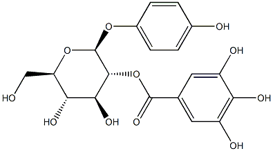 4-Hydroxyphenyl 2-O-(3,4,5-trihydroxybenzoyl)-β-D-glucopyranoside picture