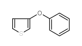 3-phenoxythiophene Structure