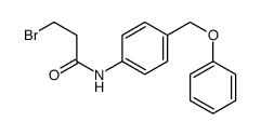 3-bromo-N-[4-(phenoxymethyl)phenyl]propanamide Structure