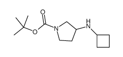 3-CYCLOBUTYLAMINO-PYRROLIDINE-1-CARBOXYLIC ACID TERT-BUTYL ESTER picture