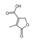 4-methyl-5-oxo-2H-furan-3-carboxylic acid结构式