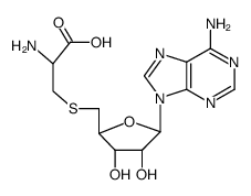 S-adenosin-5'-yl-cysteine结构式