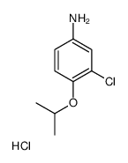 Benzenamine, 3-chloro-4-(1-Methylethoxy)-, hydrochloride Structure