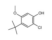 2-chloro-4-(1,1-dimethylethyl)-5-methoxyphenol结构式