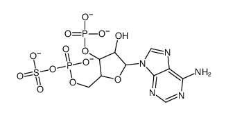 6-amino-9-[3-hydroxy-5-[(hydroxy-sulfooxy-phosphoryl)oxymethyl]-4-phosphonooxy-oxolan-2-yl]-purine结构式