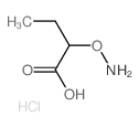 Butanoic acid,2-(aminooxy)-, hydrochloride (1:1)结构式