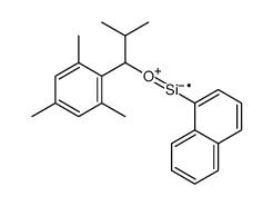 [2-methyl-1-(2,4,6-trimethylphenyl)propoxy]-naphthalen-1-ylsilicon结构式