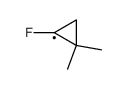 1-Fluor-2,2-dimethyl-cyclopropyl Structure