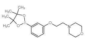 3-(2-吗啉乙氧基)苯硼酸频那醇酯图片
