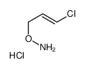 TRANS-1-CHLORO-3-OXYAMINOPROPENEHYDROCHLORIDE structure