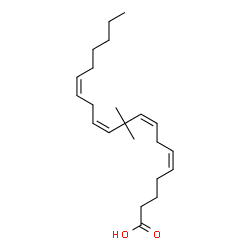 10,10-dimethylarachidonic acid结构式