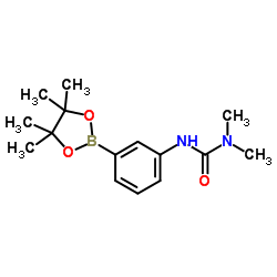 1,1-dimethyl-3-(3-(4,4,5,5-tetramethyl-1,3,2-dioxaborolan-2-yl)phenyl)urea structure