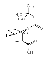 2S-7-氮杂双环[2.2.1]庚烷-2,7-二羧酸 7-叔丁酯结构式