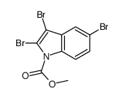 methyl 2,3,5-tribromoindole-1-carboxylate Structure